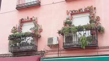 Balcones con flores